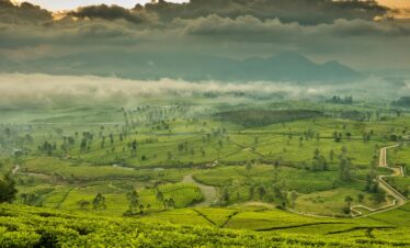 SRI LANKA Estate 2026 partenza 02 agosto